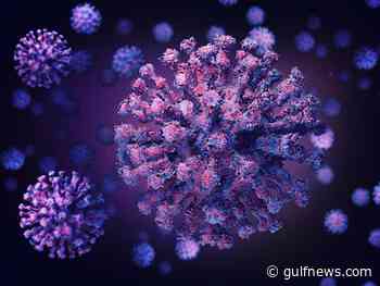 Research shows new coronavirus antibody detection method that does not require blood sample - Gulf News