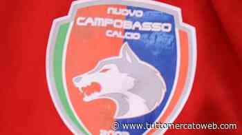 Il Campobasso ufficializza lo staff che accompagnerà mister Prosperi nel prossimo campionato - TUTTO mercato WEB