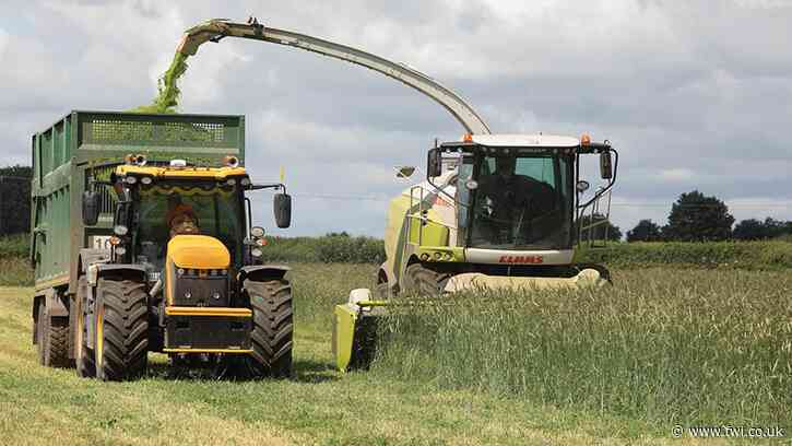 Why rye variety choice is key for biogas