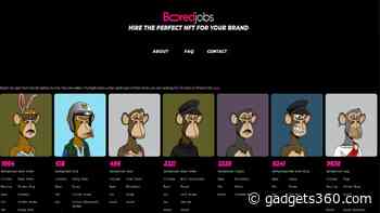 ‘Boredjobs’: Owners of Bored Ape Yacht Club NFTs Can Now List Them for Brand Hirings