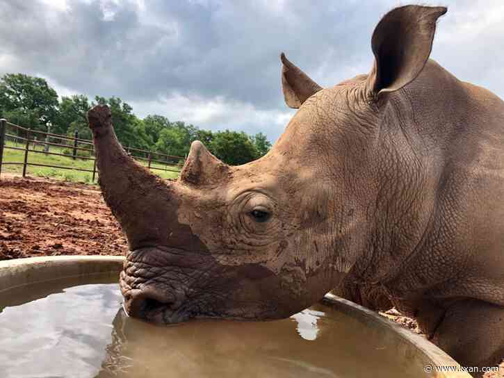 Things To Do: Austin area unique activities, hidden gems