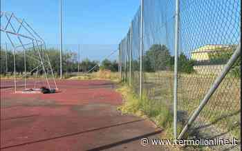 Il campo di via Pianosa torna pulito - Termoli Online