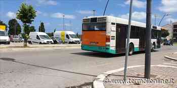 Termoli: Navetta della discordia - Termoli Online