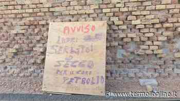 Caro gasolio, cartelli e proteste: ma il prezzo non scende - Termoli Online
