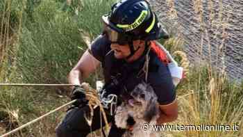 Il salvataggio di Kira, era finita in un burrone per 15 metri - Termoli Online