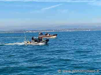 Marina di nuovo in azione per far brillare ordigni bellici a Termoli. Ma la bonifica è al 50% - Primonumero
