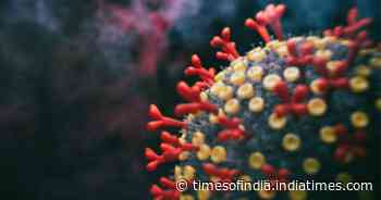 Coronavirus infection: This is when you actually allow COVID into your home - Times of India