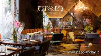 Recensioni fake per danneggiare il ristorante, il titolare di Opera: "Oggi è capitato a me ma potrebbe succedere a tutti" - NapoliToday
