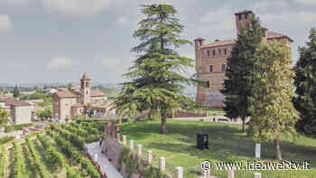 «Un’opera di Olafur Eliasson per i 30 anni della Fondazione Crc» - IdeaWebTv