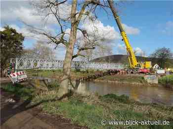 Sinzig: Bau der Anrampung an temporärer Brücke beginnt - Blick aktuell