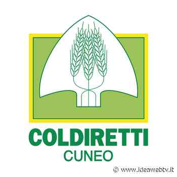 Energia, Coldiretti Cuneo: ok agrisolare sui tetti di cascine e stalle - IdeaWebTv