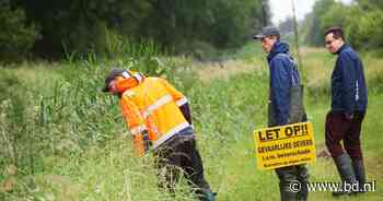 Wie betaalt rekening voor succesvolle terugkeer van bever? - BD.nl