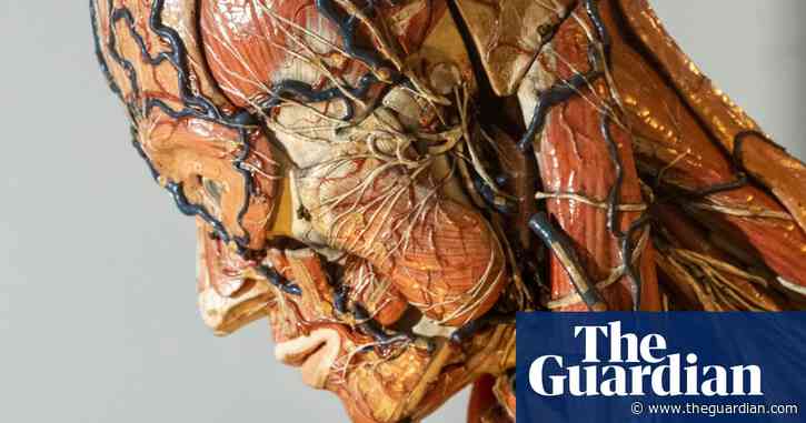The horrors of dissection, Freud’s family and Deller’s map of the self – the week in art