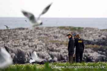 Bird flu closes the Farne Islands to visitors - Hillingdon Times