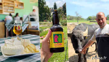 Bufflonnes, bière et histoire : tout l'été, Haguenau enchaîne les visites insolites sur son territoire - Pokaa