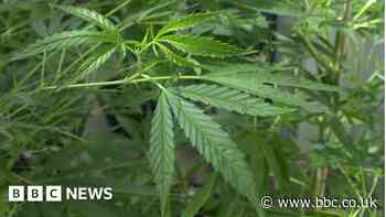 Rishton cannabis sweet factory: Trio charged with drug offences