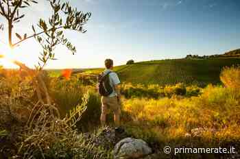 Toscana, sulle orme degli antichi pellegrini - Prima Merate