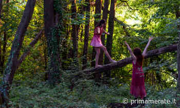 Giardino delle Esperidi festival, le proposte del weekend - Prima Merate