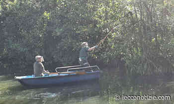 Merate, Gev in 'servizio' sul lago di Sartirana salvano un airone impigliato - Lecco Notizie