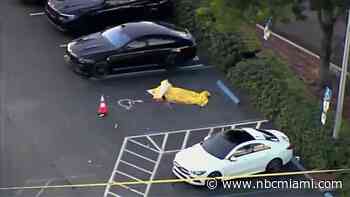 Man Found Shot to Death in Hallandale Beach Adult Entertainment Club Parking Lot
