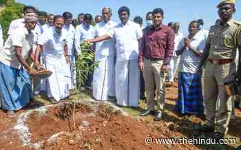 Saplings planted under urban forest scheme in Salem - The Hindu