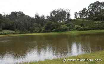 Calls grow to bring municipal forests bordering Ooty under control of forest department - The Hindu