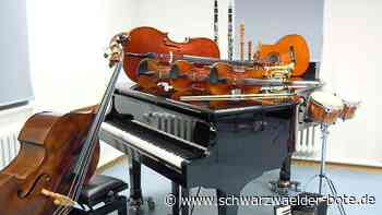 Informationsangebot: Musikschule Wildberg bietet zwei Schnupperwochen