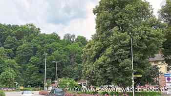 Am Bahnhof Wildberg: Die Kreiselpläne überzeugen noch nicht alle Gemeinderäte
