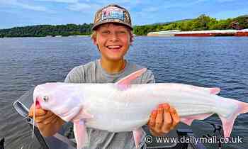 Catch of a lifetime: 15-year-old boy hooks a rare all-white catfish while fishing in Tennessee 