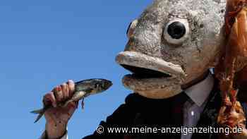 Umweltministerin zieht positive Bilanz der UN-Ozeankonferenz