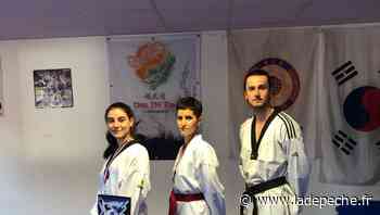 Castelginest. Taekwondo : deux médailles aux championnats de France - LaDepeche.fr