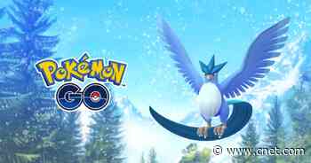 Pokemon Go Articuno Raid Guide: Best Counters, Weaknesses and Moveset     - CNET