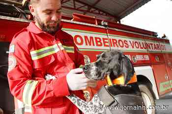 Nova Hartz conta com 'bombeira canina' - Jornal NH