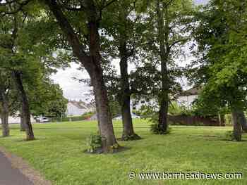 Braidholm Grass: Road closures as work on flood scheme begins - Barrhead News