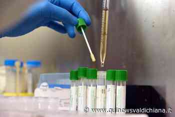 Covid, 363 positivi in provincia di Siena - Qui News Valdichiana