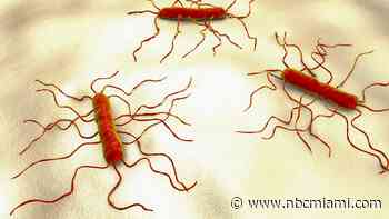 1 Dead, 22 Hospitalized in Multi-State Listeria Outbreak Linked to Florida