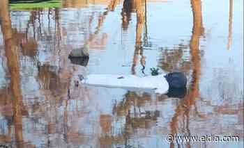 Montaron un operativo para sacar un cadáver flotando en Ensenada y era ¡un muñeco! - Diario El Dia