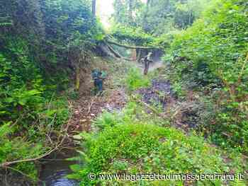 Massa, conclusa la prima fase della manutenzione ordinaria - La Gazzetta di Massa e Carrara