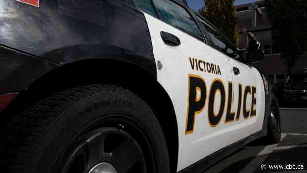 Victoria and Saanich police end search for 2 men dressed in camouflage, saying there was no risk to public - CBC.ca