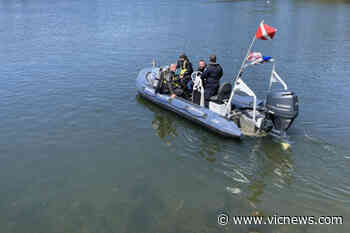 4 children rescued during busy day at Saanich's Elk Lake – Victoria News - Victoria News