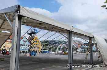 Es kribbelt endlich wieder