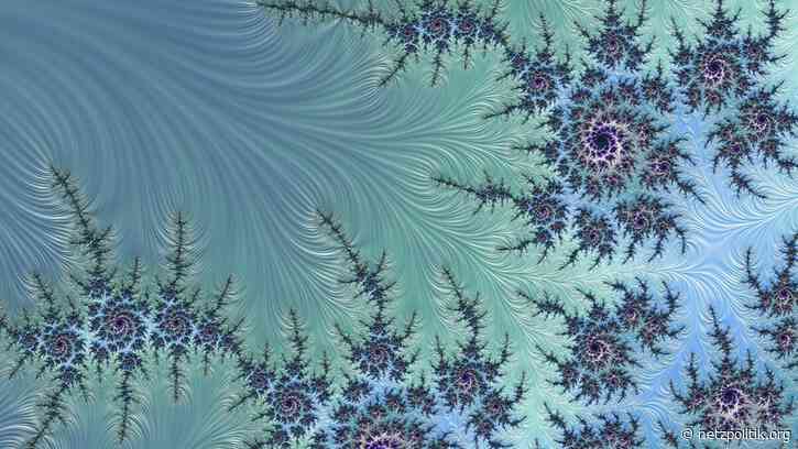 KW 26: Die Woche nach dem vernichtenden Angriff auf reproduktive Rechte