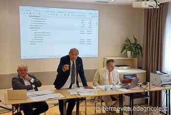 Codifesa Bologna e Ferrara, crescono valori assicurati e soci - Terra è vita