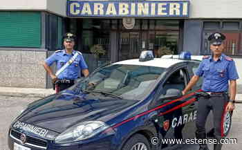 Dopo la rissa nel parco aggredisce i carabinieri: arrestato | estense.com Ferrara - Estense.com