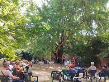 Torna l'Albero delle storie | estense.com Ferrara - Estense.com