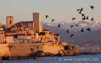 Les remparts d'Antibes seront piétons samedi et dimanche