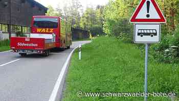 Gemeinderat Bad Wildbad: Gefahrenschilder statt Tempobeschränkung