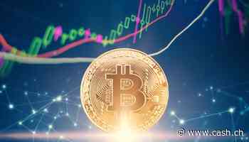 Politik - EU bringt Regulierung von Kryptowährungen auf den Weg