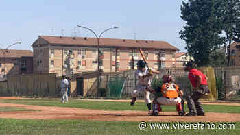 Baseball: doppia gara a Foggia per Fano Baseball 94 - Vivere Fano