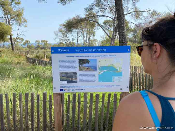La nature en rempart face à la montée du niveau de la mer: à Hyères, l’exemple des Vieux-Salins